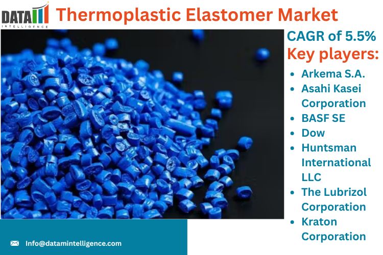 Thermoplastic Elastomer Market
