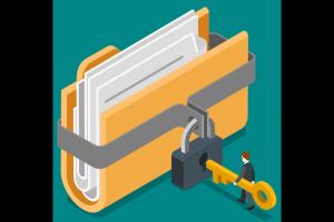 Safe Storage Solutions for Local Businesses