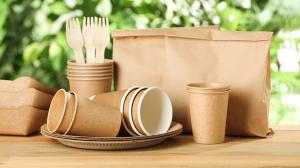 Biodegradable Paper and Plastic Packaging Market
