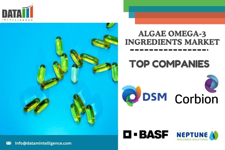 Algae omega-3 ingredients Market