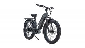 Favoritebikes StormX Ebike