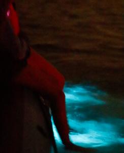 Child’s Feet Sparkle in Glowing Bioluminescent Waters on BK Adventure Rafting Tour