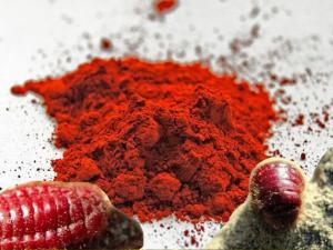 Carmine Color Market