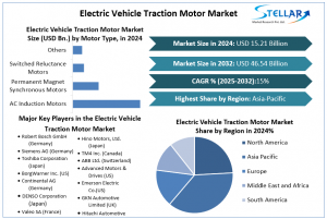 Electric Vehicle Traction Motor Market 2