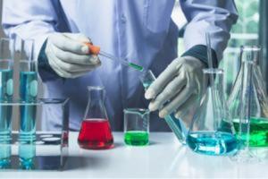 Indonesia Basic Chemicals Market, by Application