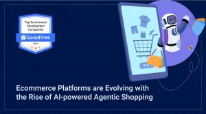 eCommerce developers