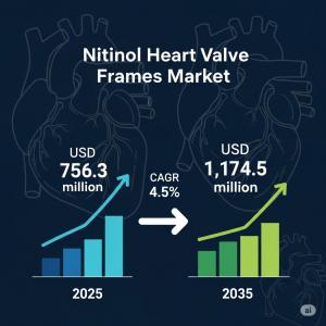 Nitinol Heart Valve Frames Market