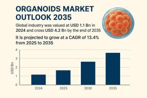 Organoids Market to Surpass USD 4.2 Billion by 2035