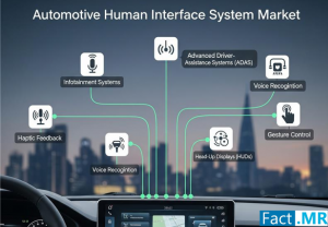 Automotive Human Interface