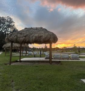Native American Palm Tiki Huts of FL Summer 2025