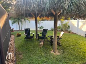 Summer 2025 Native American Palm Tiki Huts of FL