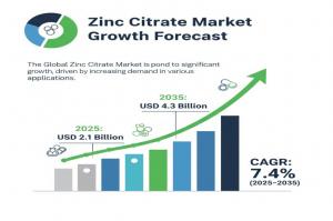 Zinc Citrate Market