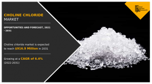 Choline Chloride Industry Analysis