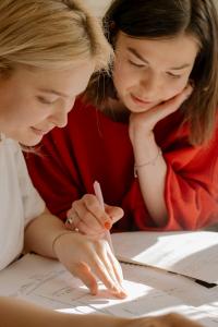 Stemly Tutoring AP Precalculus Tutor