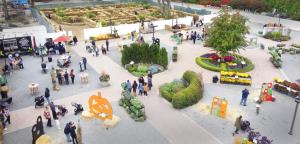 Overhead Shot of the Hicks Nurseries Fall Festival