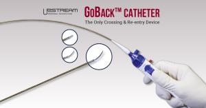 Provides intralumenal crossing and subintimal re-entry in the same catheter solution