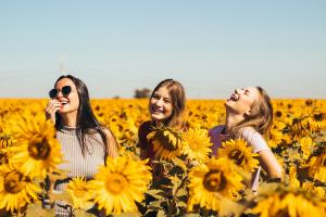 Three girls laughing in a field of sunflowers together enjoying each others company