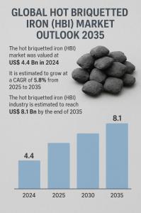 Hot Briquetted Iron (HBI) Market