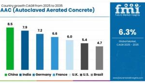 Regional Analysis of Autoclaved Aerated Concrete Blocks Market