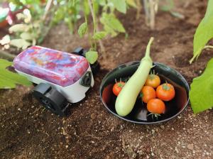 Gardro is ideal for developing habit among kids for growing food at home from their early life itself.