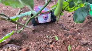 The compact design and interactive features associated with Gardro robot makes it the world's first interactive gardening robot designed for kids.