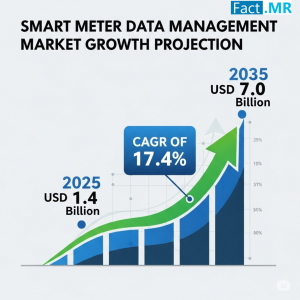Smart Meter Data Management Market