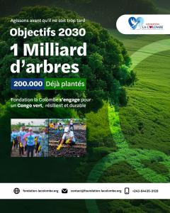 Objectif de planter 5 millions d’arbres d’ici 2030 avec la Fondation La Colombe, une initiative d'œuvre sociale en RDC pour la reforestation et le développement durable