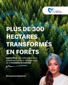 300 hectares reboisés et transformés en forêts grâce à la Fondation La Colombe, dans le cadre de son programme de reforestation en RDC