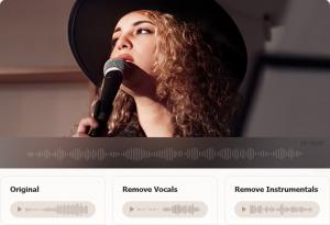 AI Vocal Remover