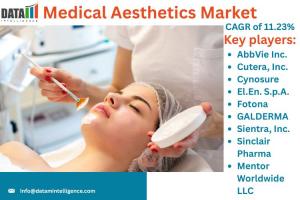 Medical Aesthetics Market