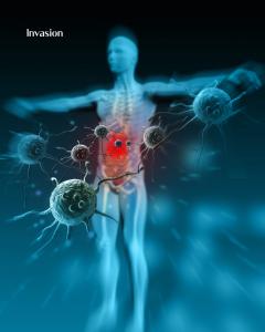 Human immune system responding to rabbit albumin antigen, showing how foreign proteins impact health and trigger disease processes.