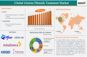 Uterine Fibroids Treatment Market