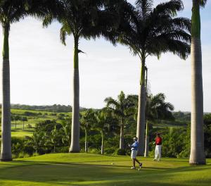 Golfing in Barbados, Caribbean