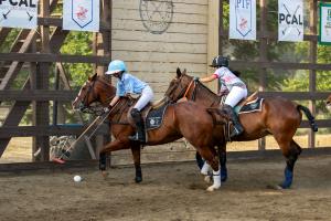 female polo player goes after ball on horseback