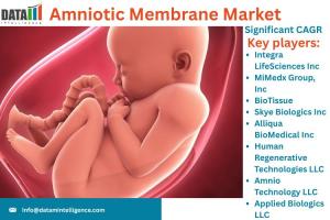 Amniotic Membrane Market