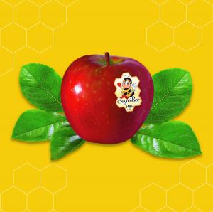 SugarBee® apple with its signature honeycomb shaped sticker. The apple is on a yellow background sitting on leaves.