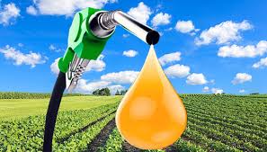 Biodiesel Market