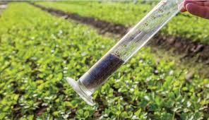 Global Agricultural Testing Market