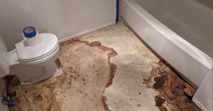 Toilet Tub Overflow