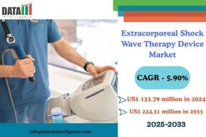 Extracorporeal Shock Wave Therapy Device Market