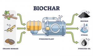 Biochar Market | DataM