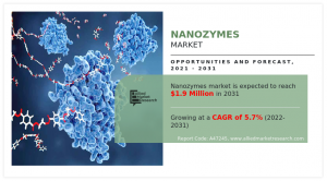 Nanozymes Market Analysis