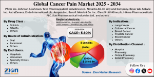 Cancer Pain Market