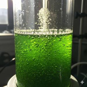 Microalgae in a futuristic lab producing hydrogen for sustainable carbon credits for Indigenous communities in Satoyama Mace Initiative