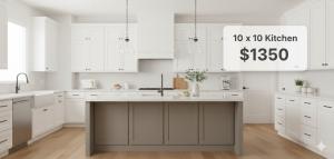 10 x 10 Kitchen Cabinets
