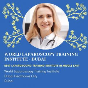 World Laparoscopy Training Institute