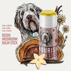 MycoDog Nourish Balm Stick the first hemp and reishi balm stick for pets