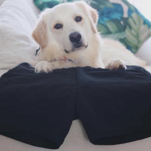 Bioengineered from the Dual Coat of a Golden Retriever