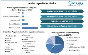 Active Ingredients Market