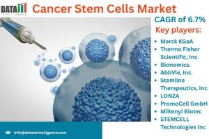 Cancer Stem Cells Market
